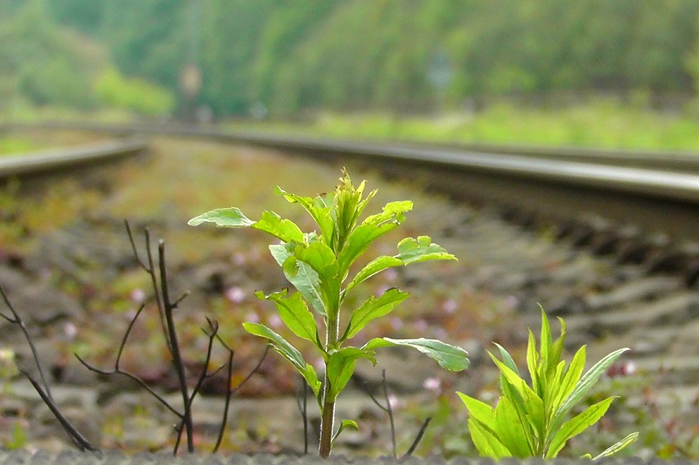 FNV ProRail Asito Clean Totaal