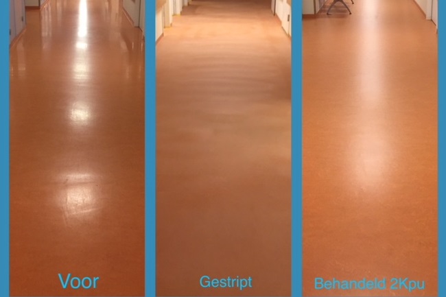 Introductie toplaaghersteller marmoleum UV-Careshield succesvol