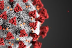 Coronavirus dwingt OSB tot annuleren bijeenkomsten