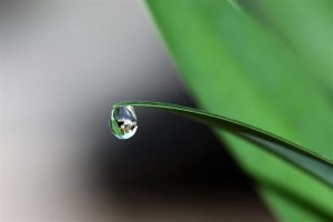 Schoonmaken met alleen water: een groen sprookje. Crohill Pim Hilgerdenaar